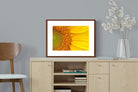 Pixalot ® Radiant Sunflower