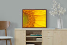 Pixalot ® Radiant Sunflower