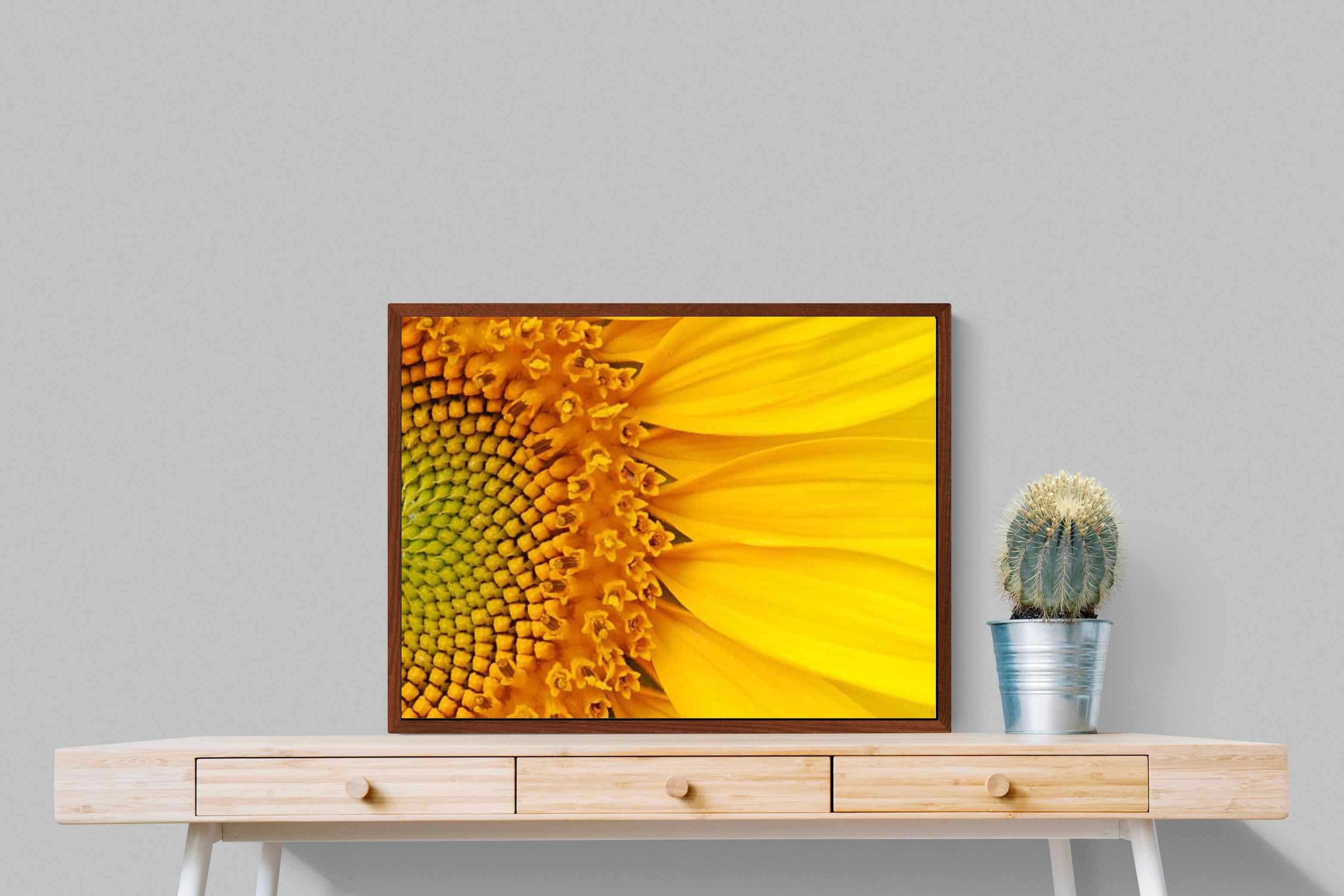Pixalot ® Radiant Sunflower