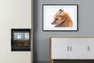 Pixalot Red Fox