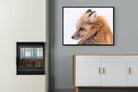 Pixalot Red Fox