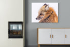 Pixalot Red Fox