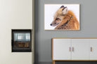 Pixalot Red Fox