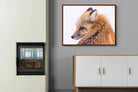 Pixalot Red Fox
