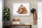 Pixalot Red Fox