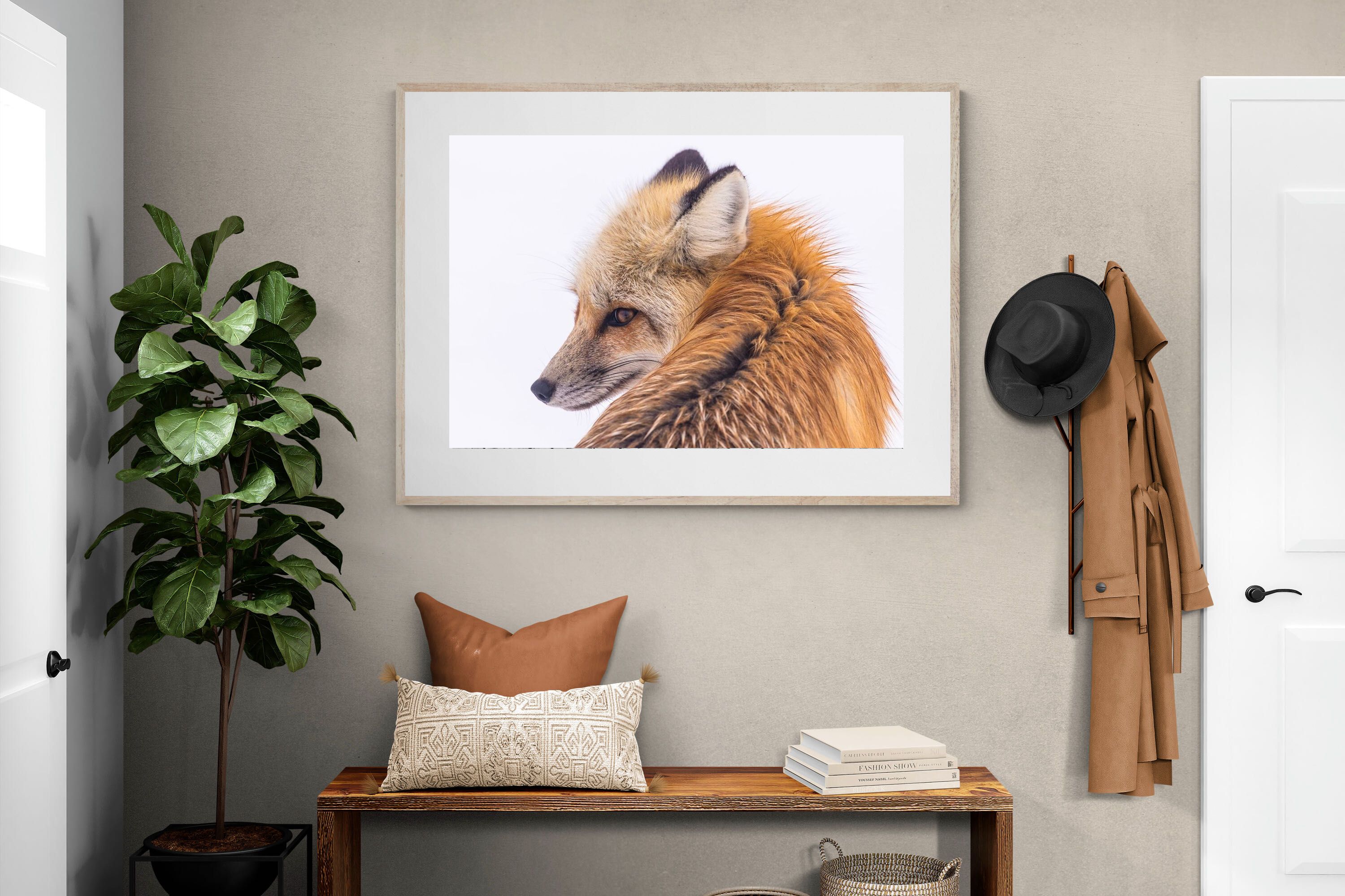 Pixalot Red Fox