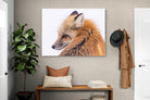 Pixalot Red Fox
