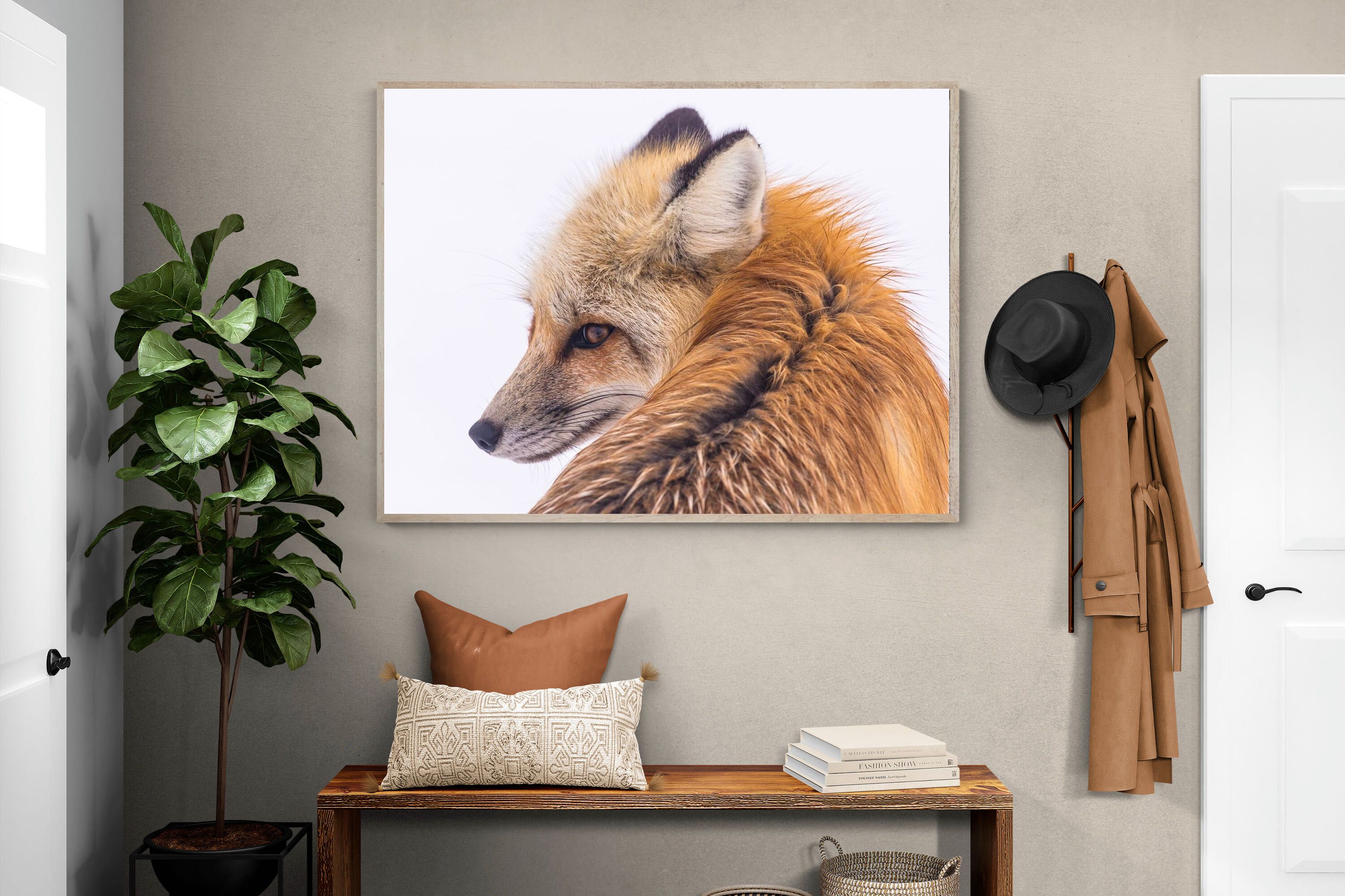 Pixalot Red Fox