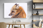 Pixalot Red Fox