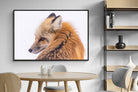 Pixalot Red Fox