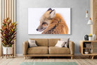 Pixalot Red Fox