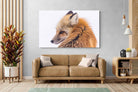 Pixalot Red Fox