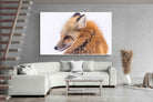 Pixalot Red Fox