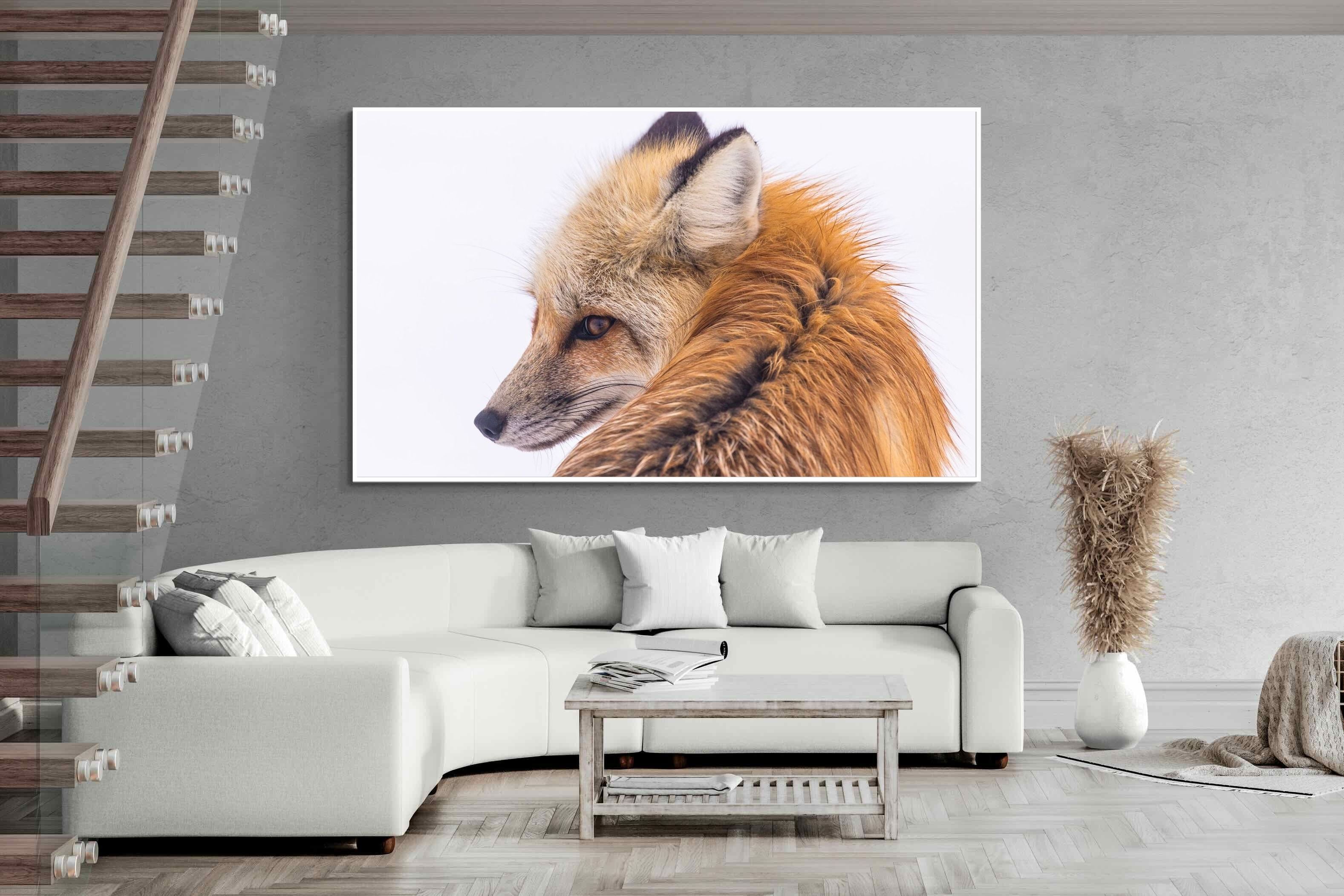 Pixalot Red Fox