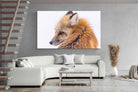 Pixalot Red Fox
