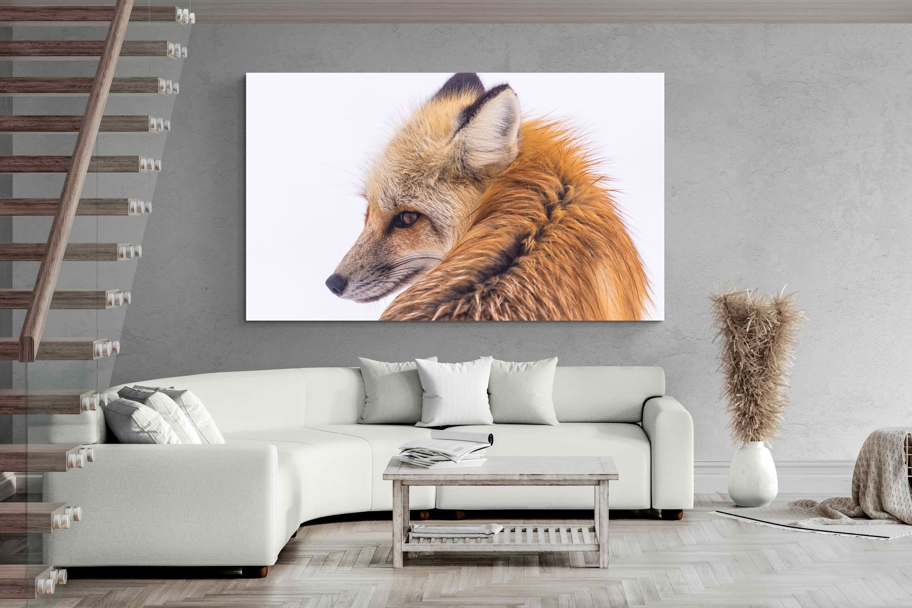Pixalot Red Fox