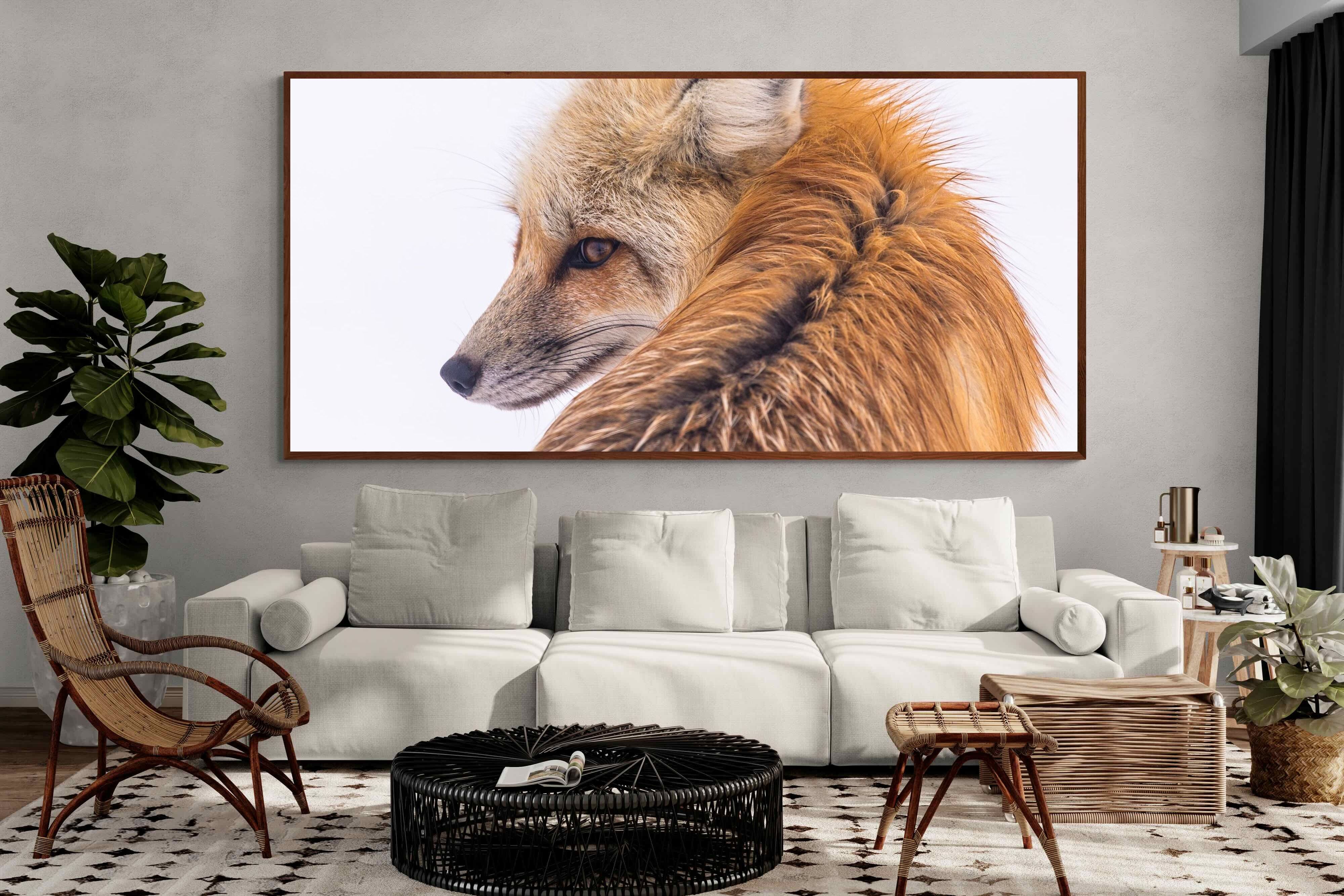 Pixalot Red Fox