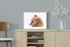 Pixalot Red Fox