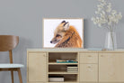 Pixalot Red Fox