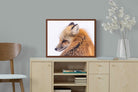 Pixalot Red Fox
