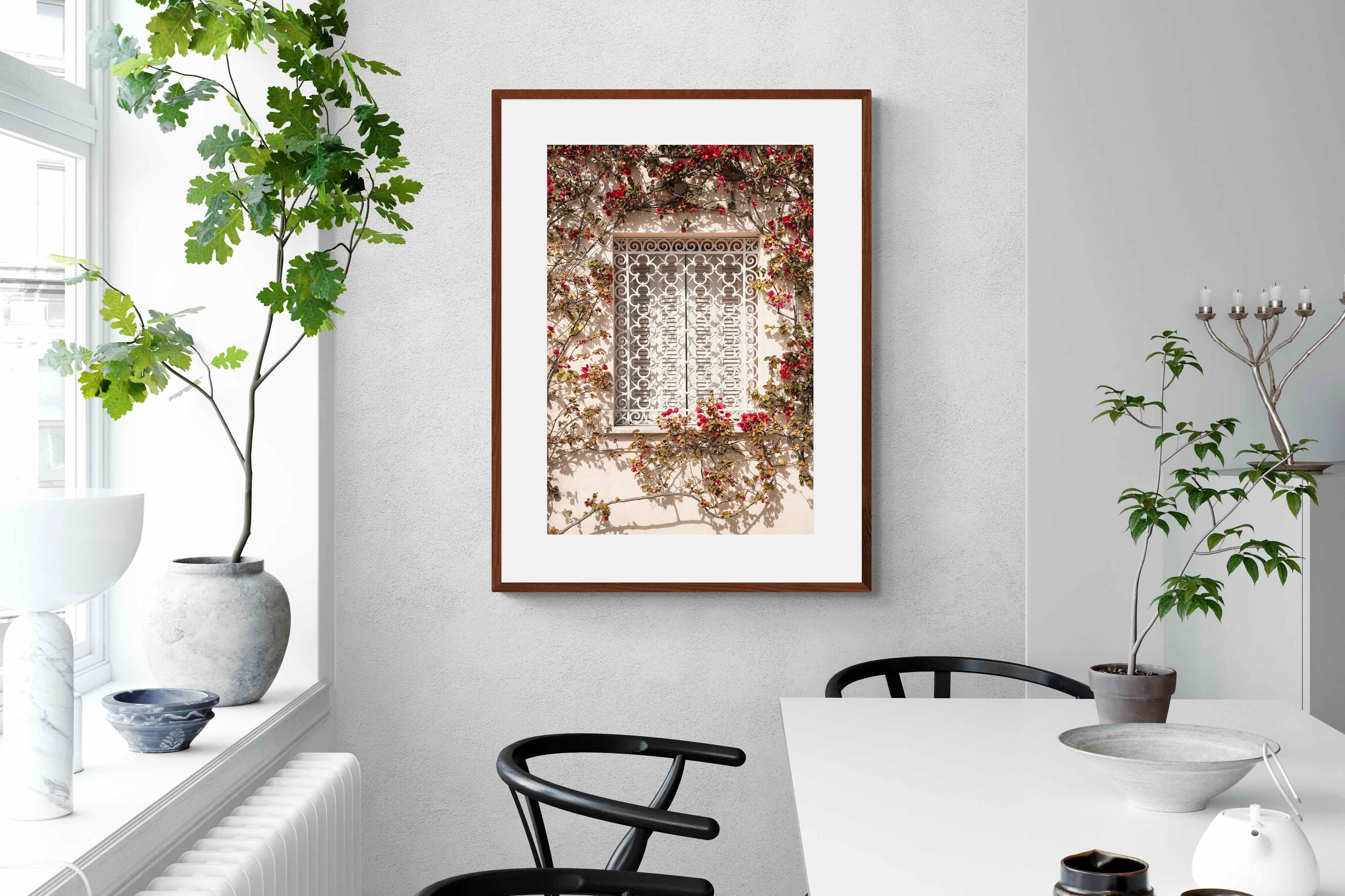 Pixalot Red Frame