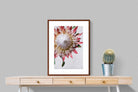 Pixalot Red King Protea