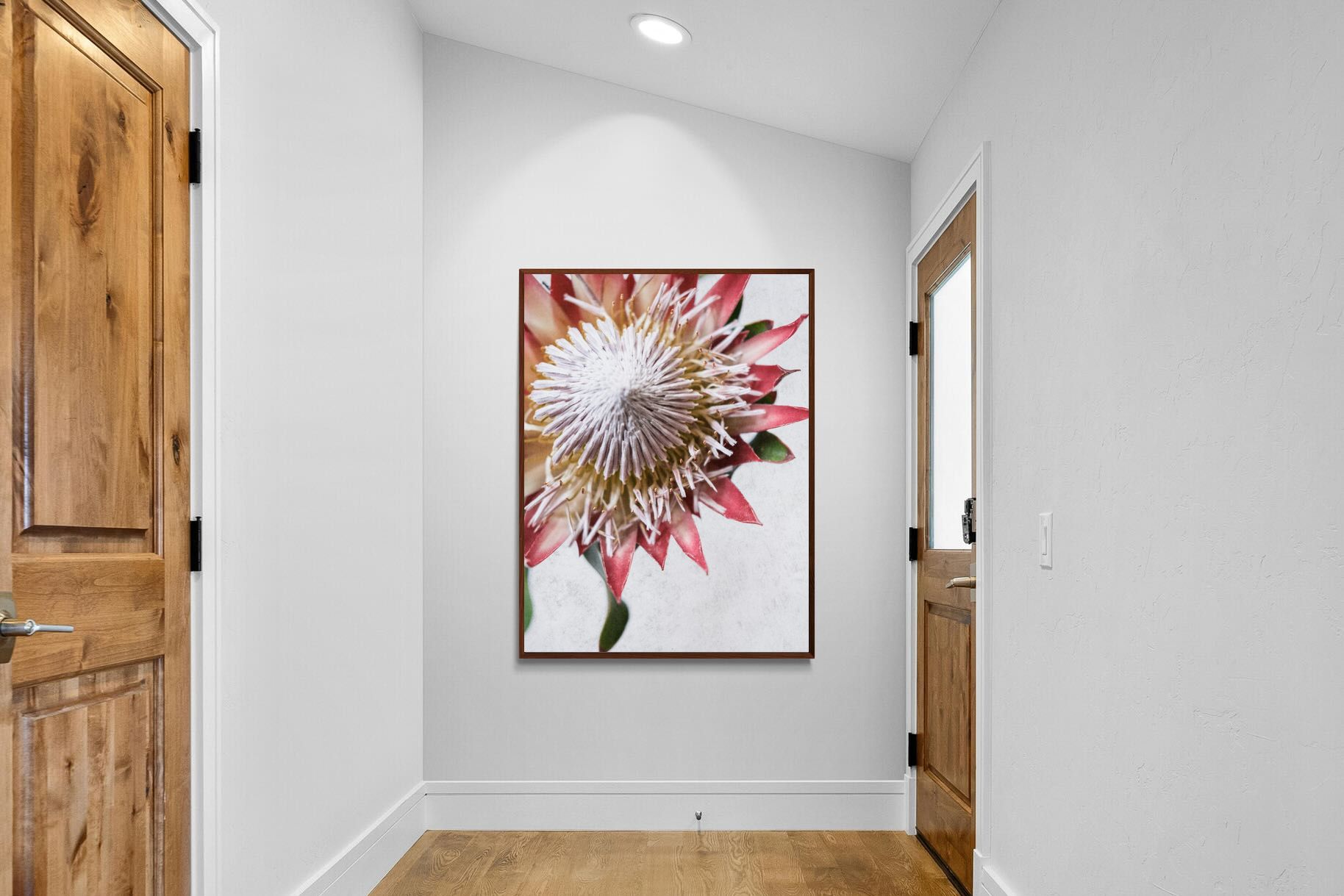 Pixalot Red King Protea