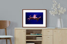 Pixalot ® Red Octopus