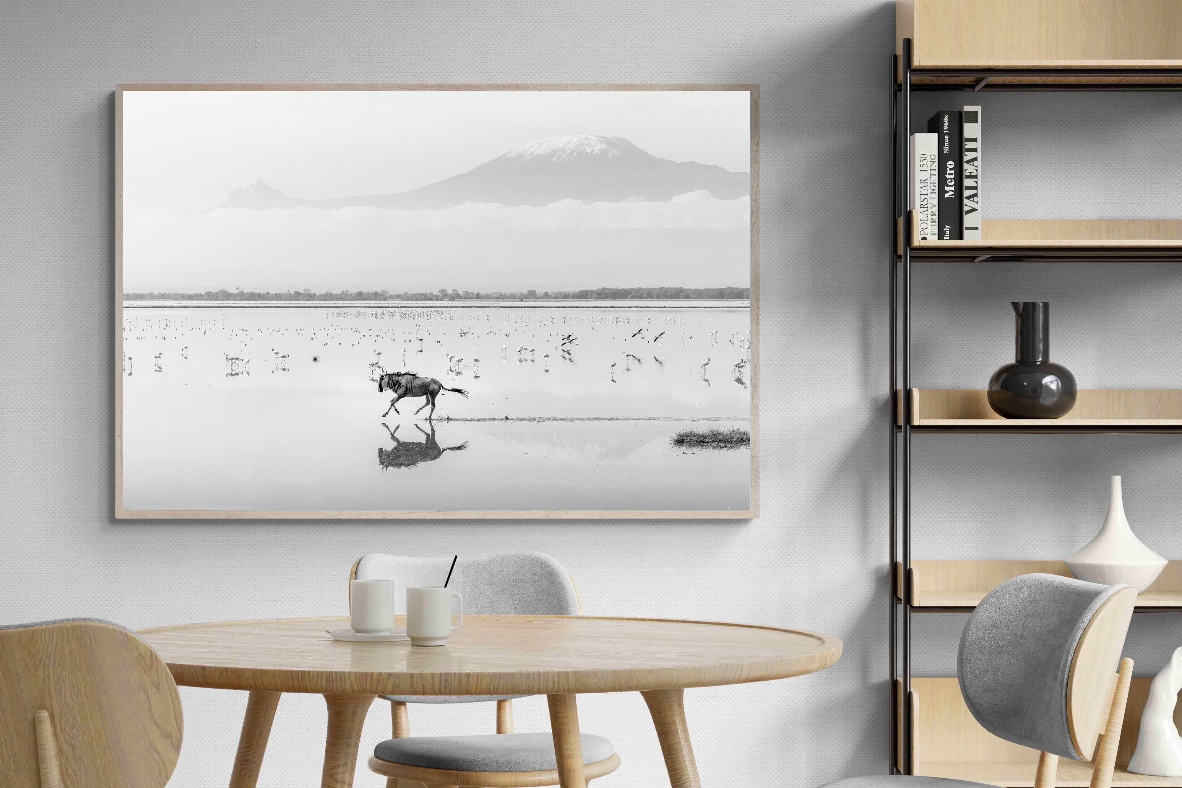 Pixalot Reflection of Freedom