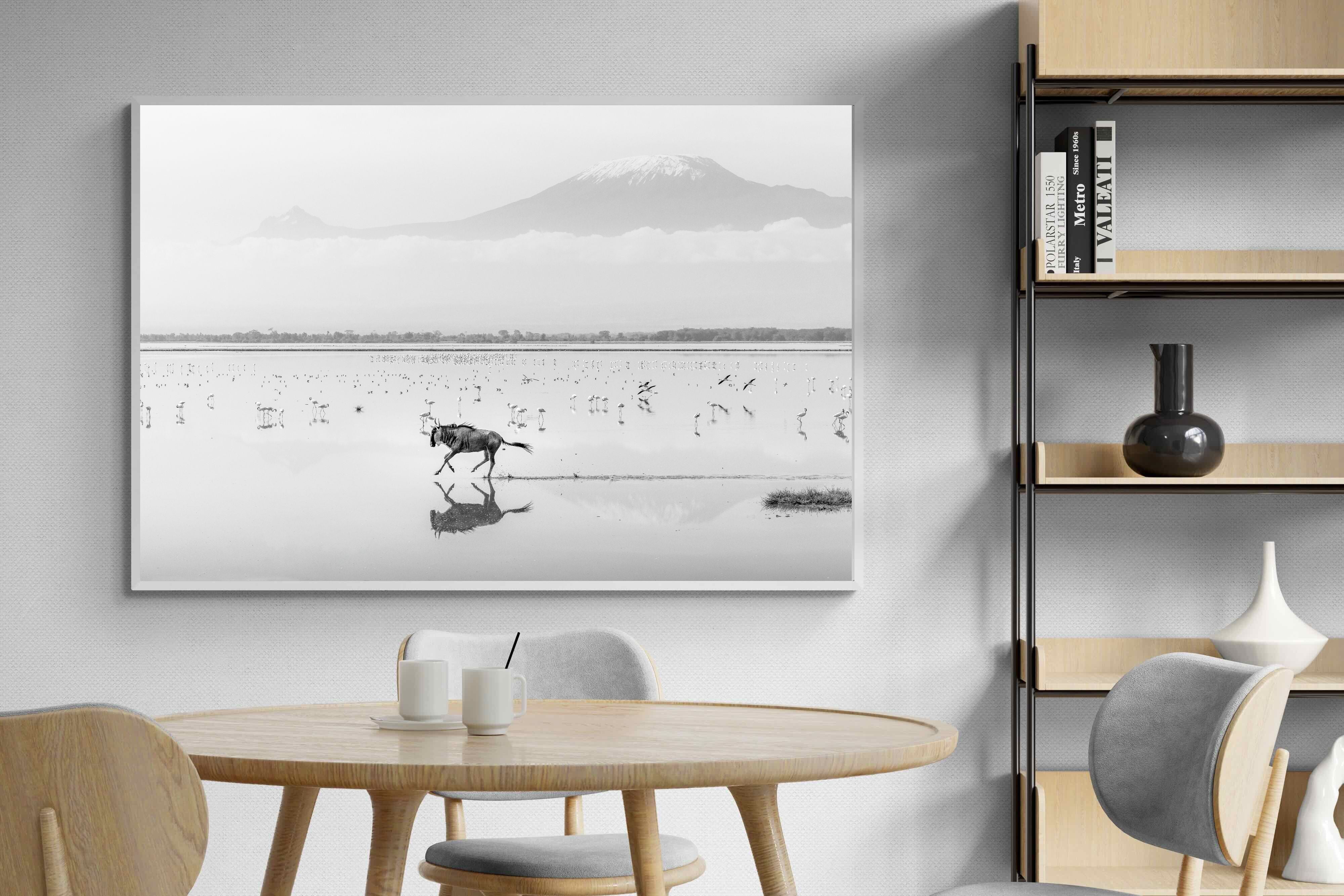 Pixalot Reflection of Freedom