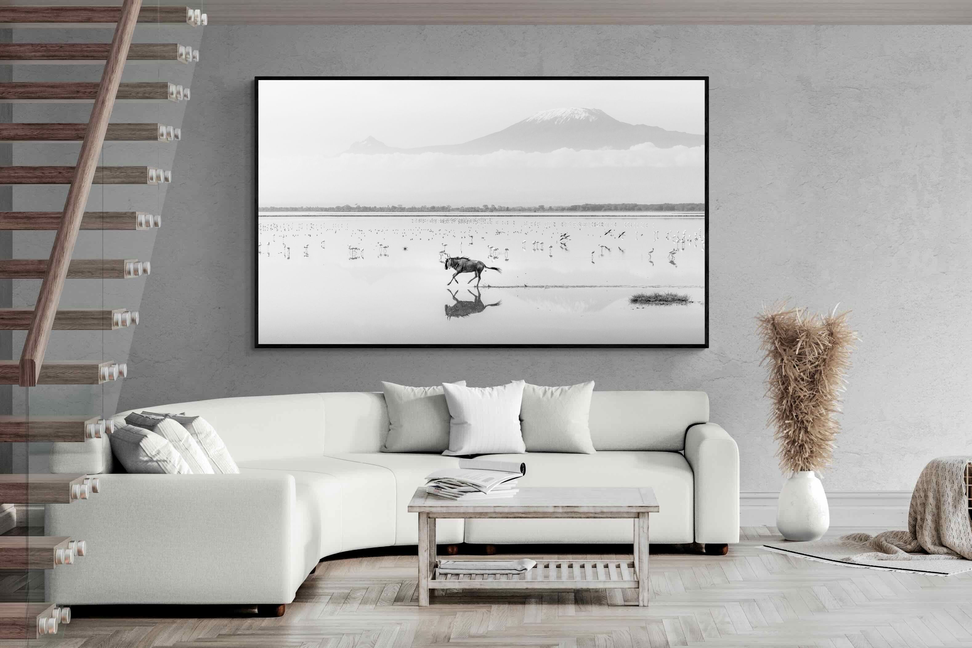 Pixalot Reflection of Freedom