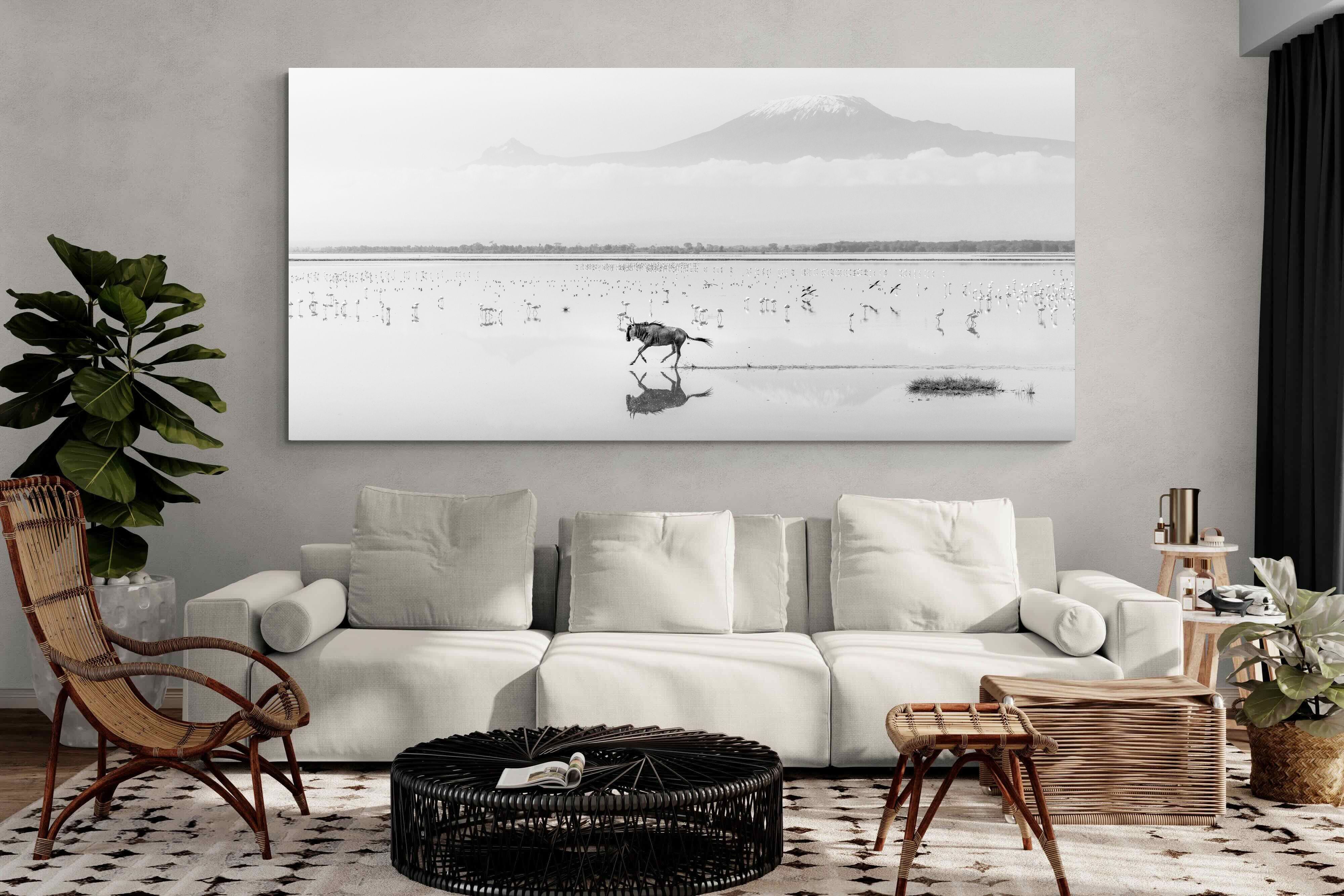 Pixalot Reflection of Freedom