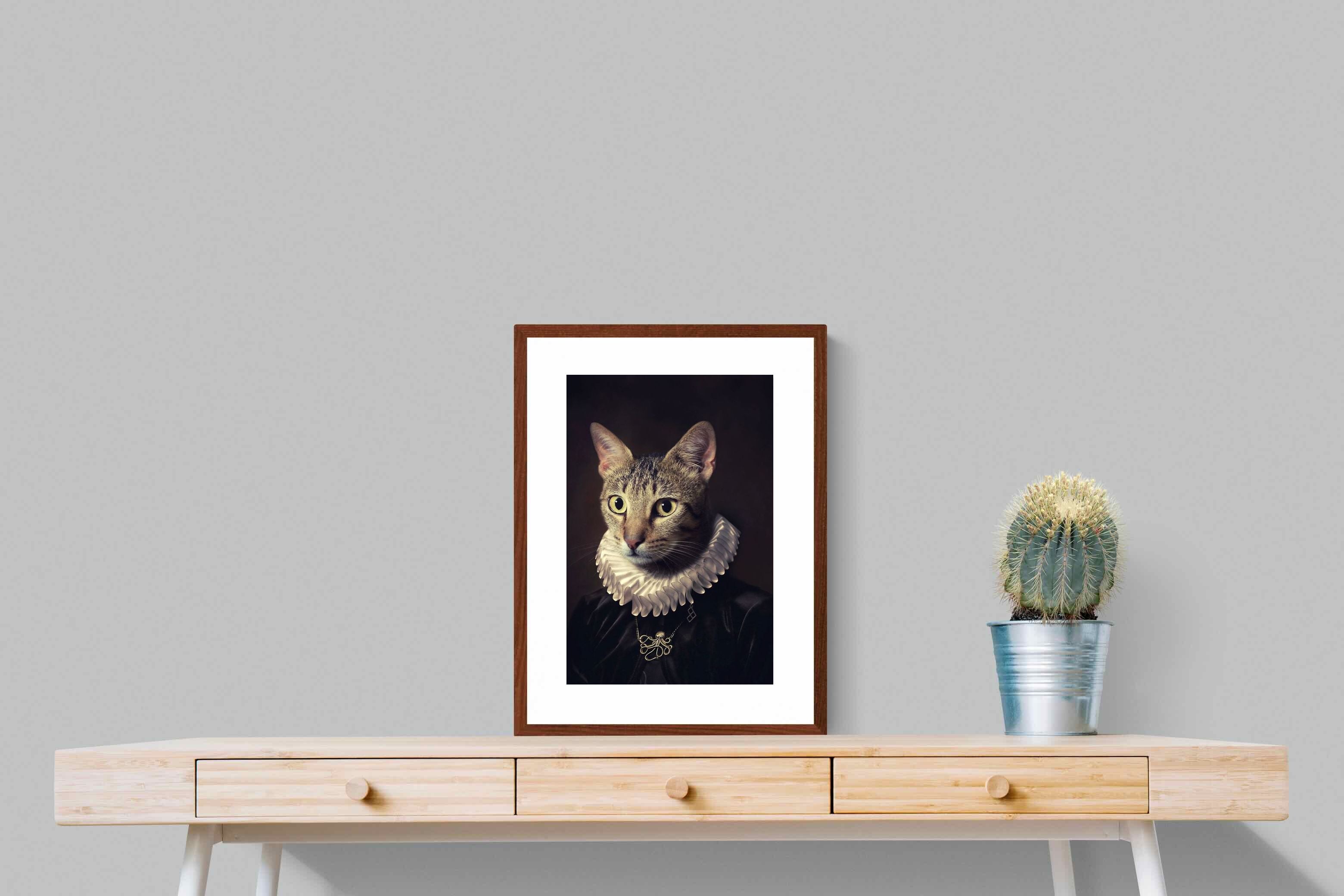 Pixalot Regal Cat