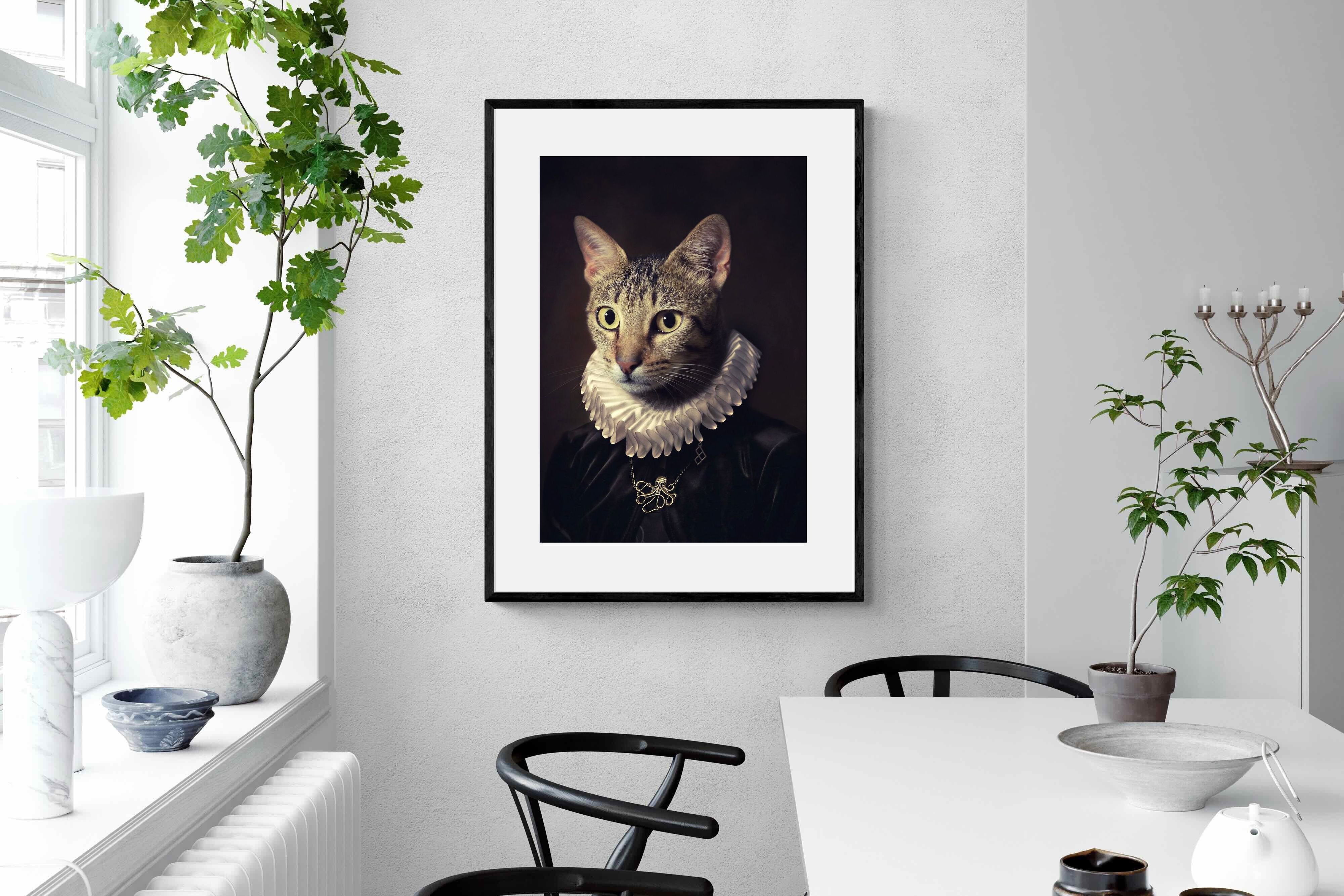 Pixalot Regal Cat