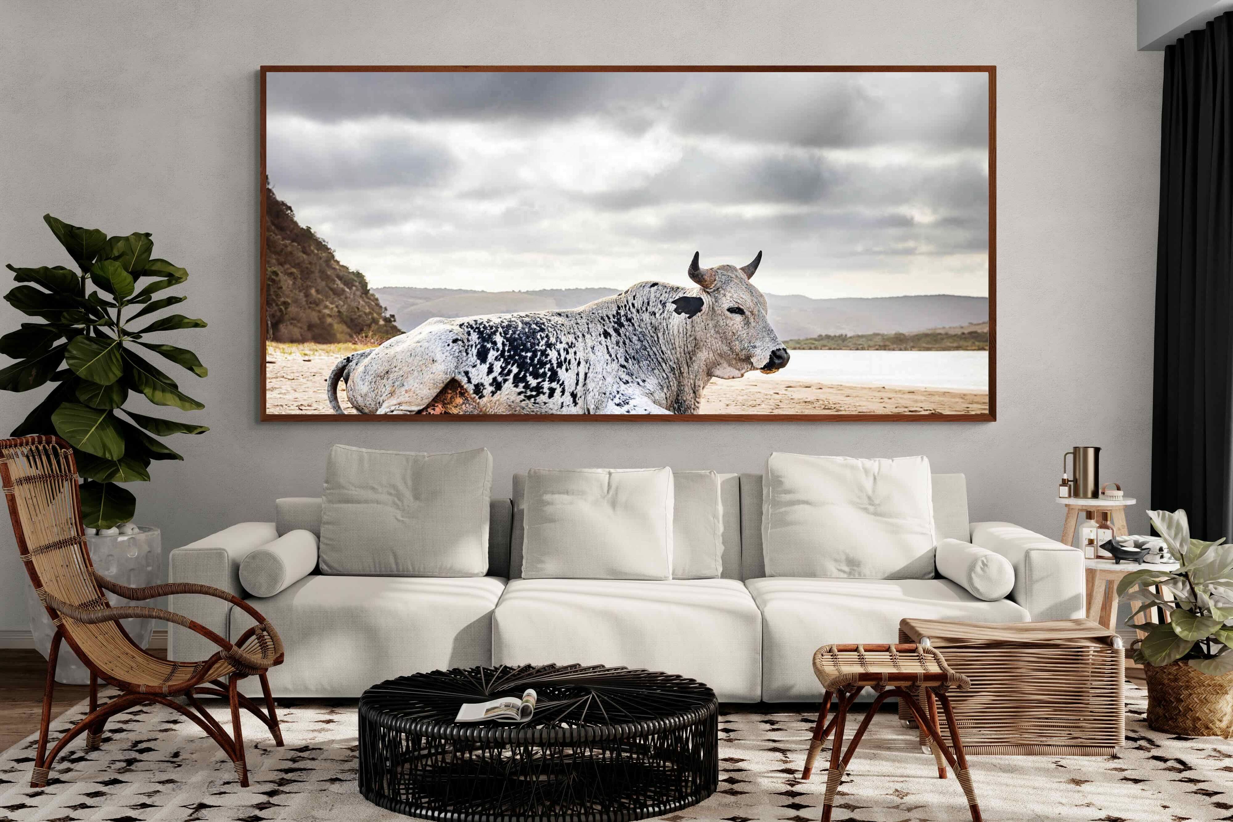 Pixalot ® Resting Bull