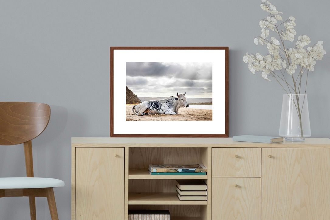 Pixalot ® Resting Bull