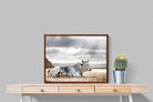 Pixalot ® Resting Bull