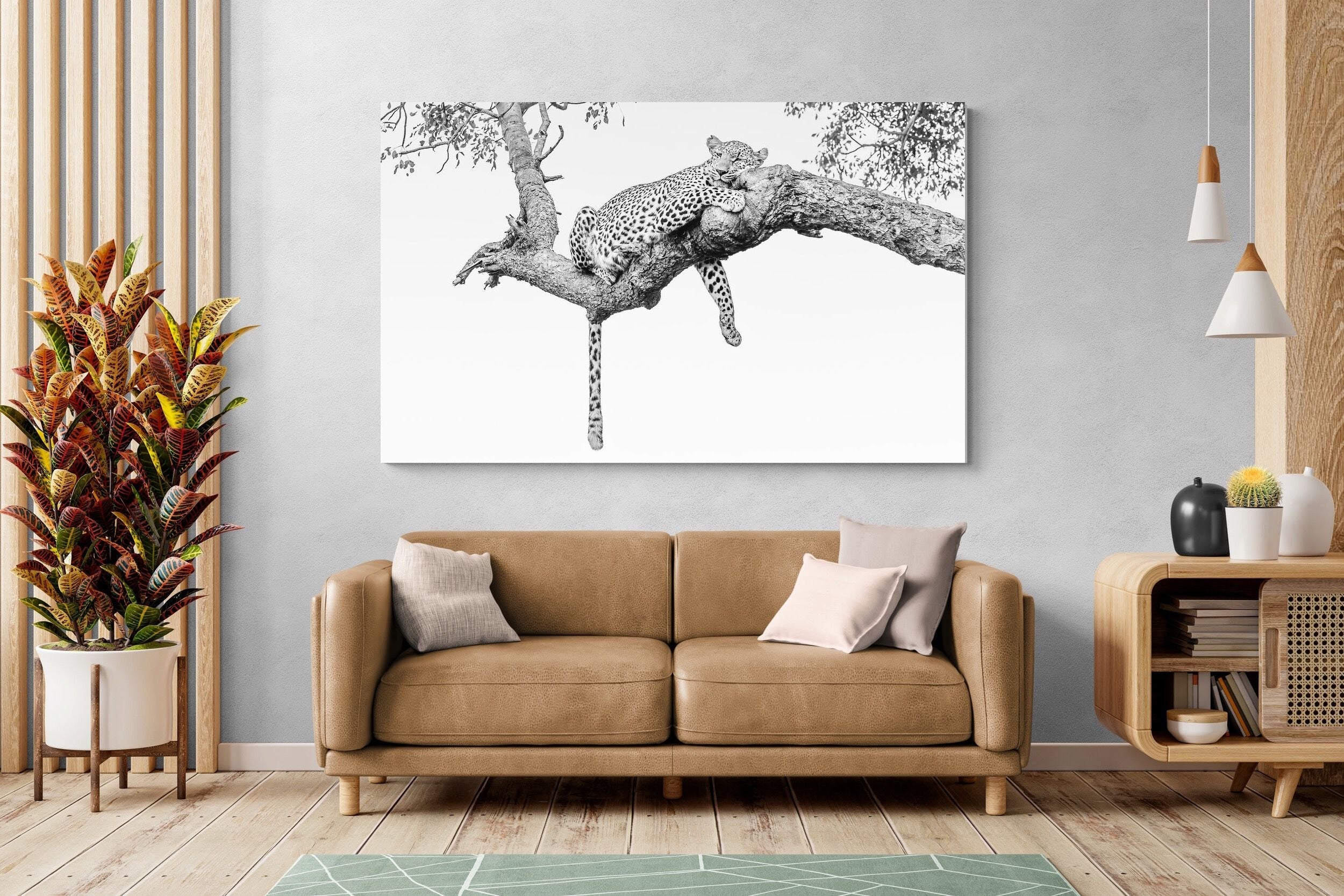 Pixalot Resting Leopard