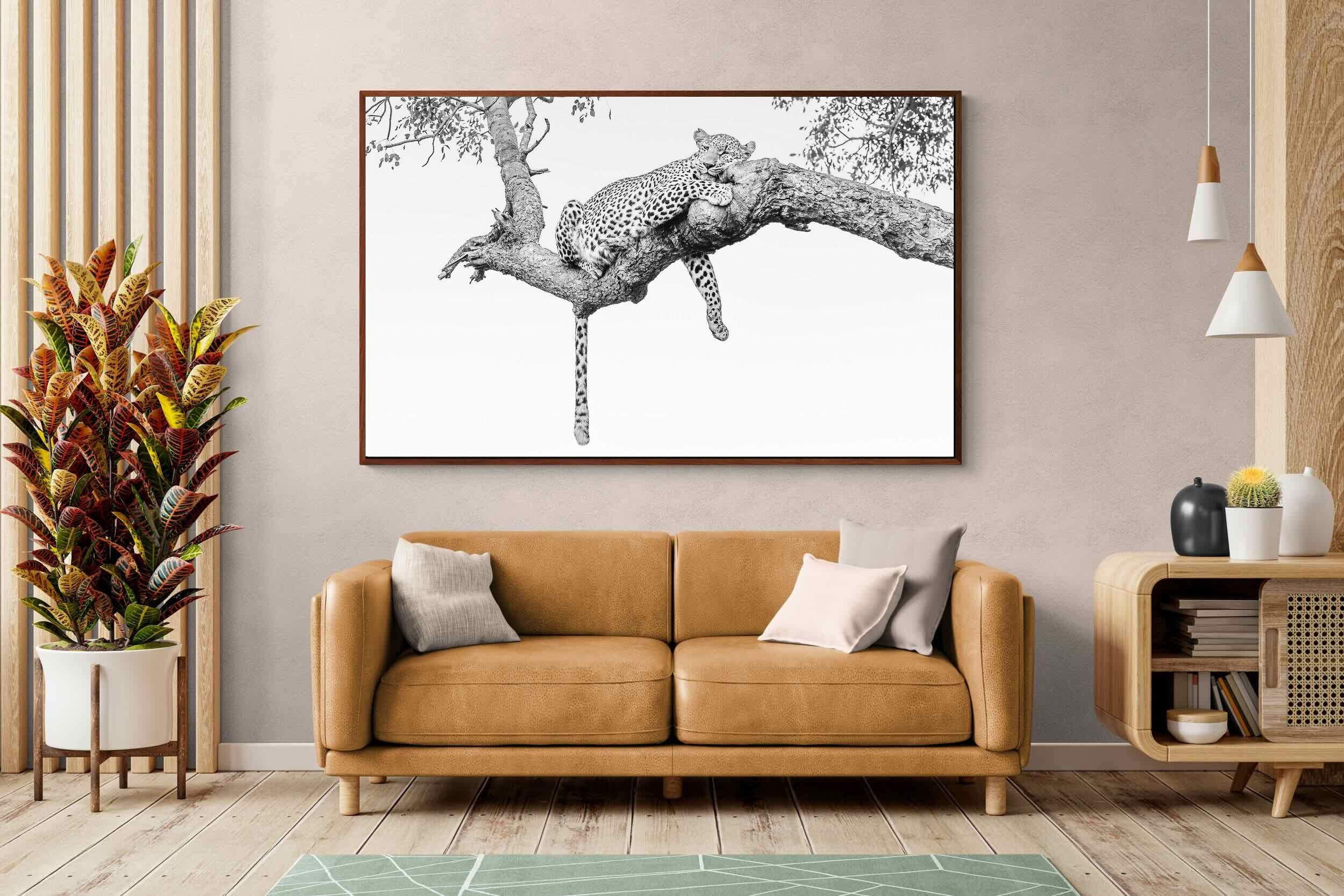Pixalot ® Resting Leopard
