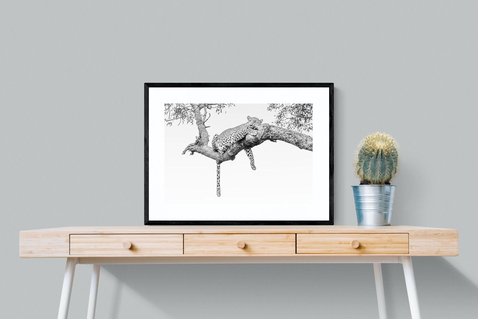 Pixalot Resting Leopard