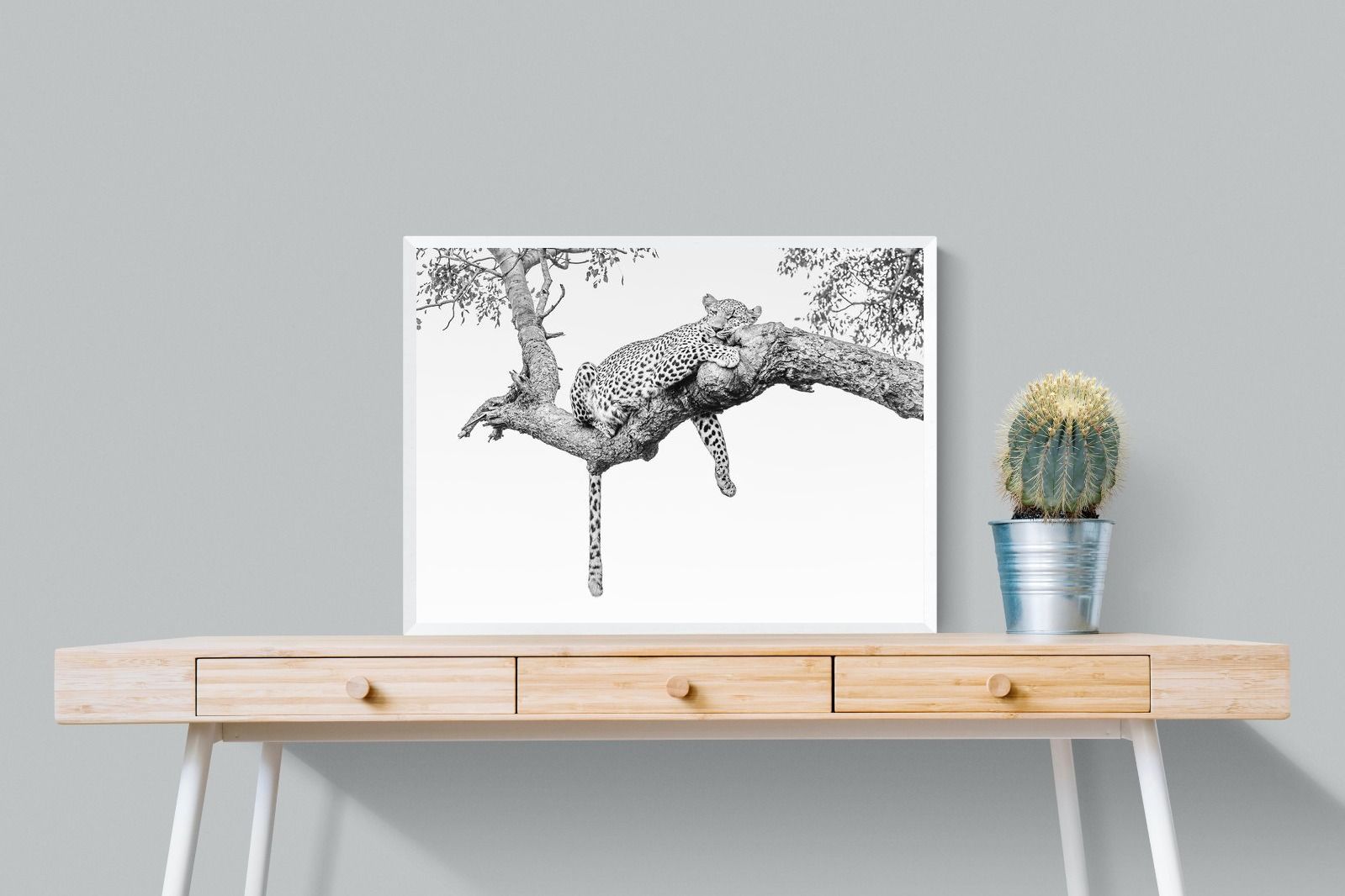 Pixalot Resting Leopard