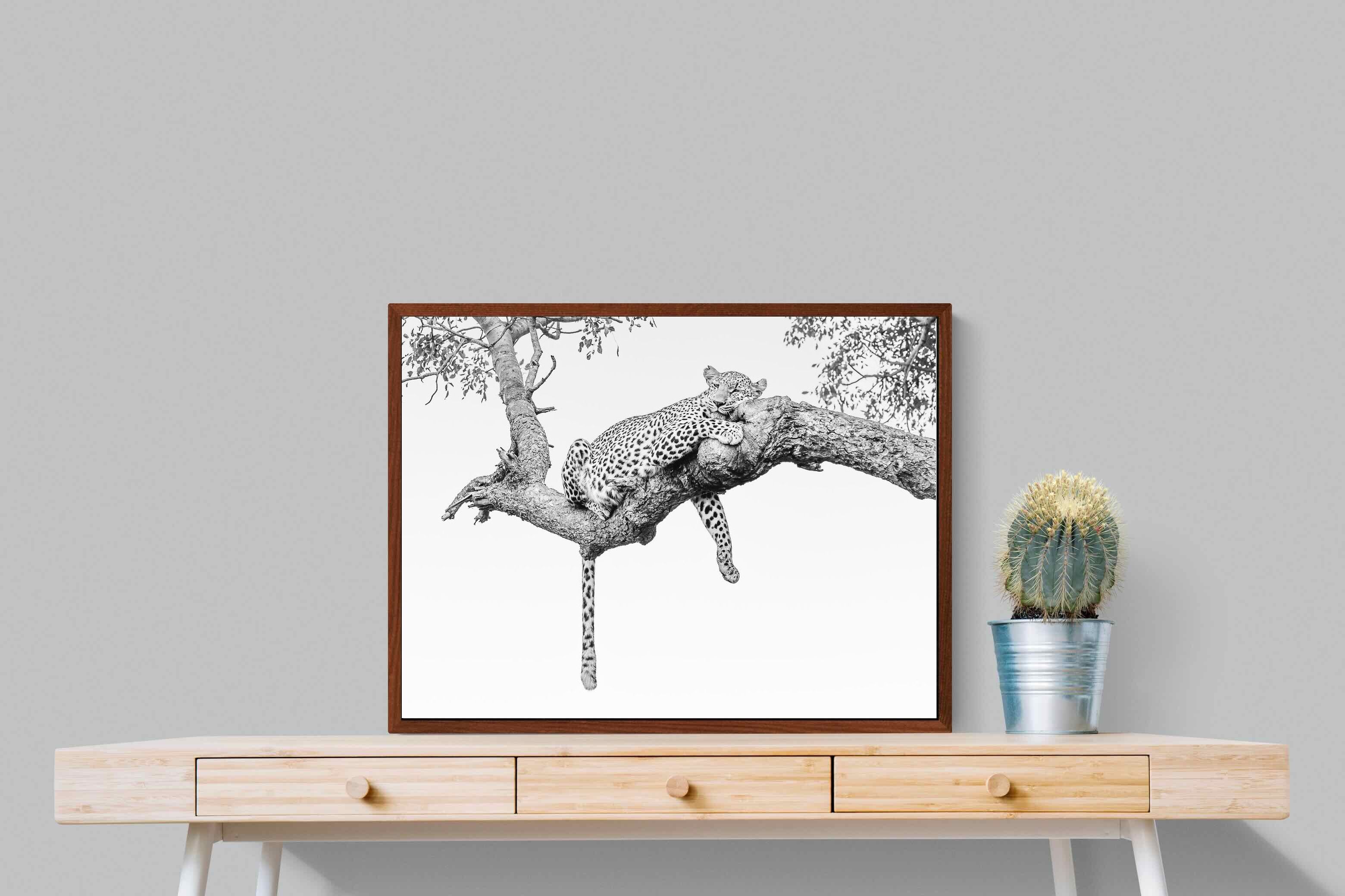 Pixalot ® Resting Leopard