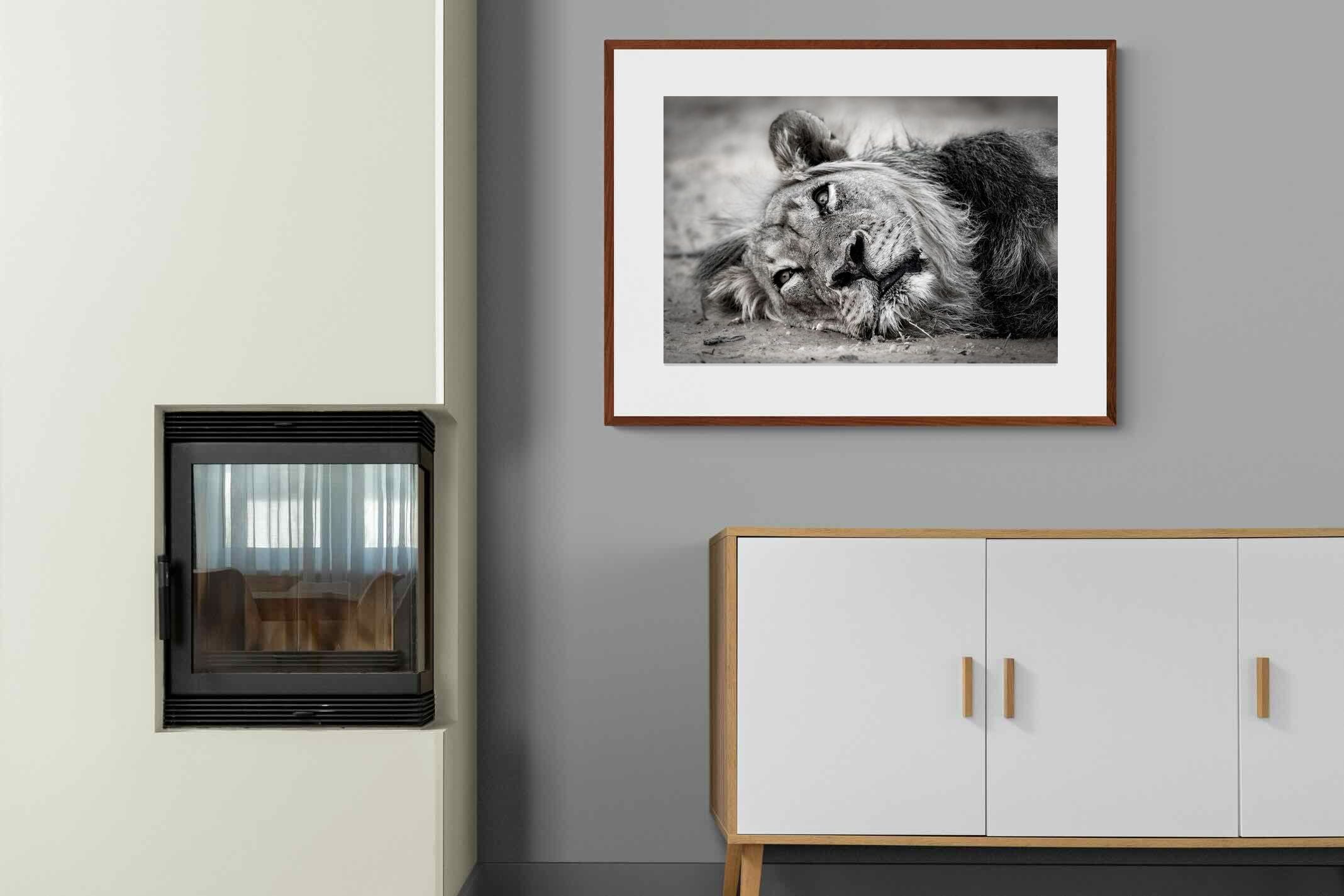 Pixalot ® Resting Lion