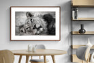 Pixalot ® Resting Lion