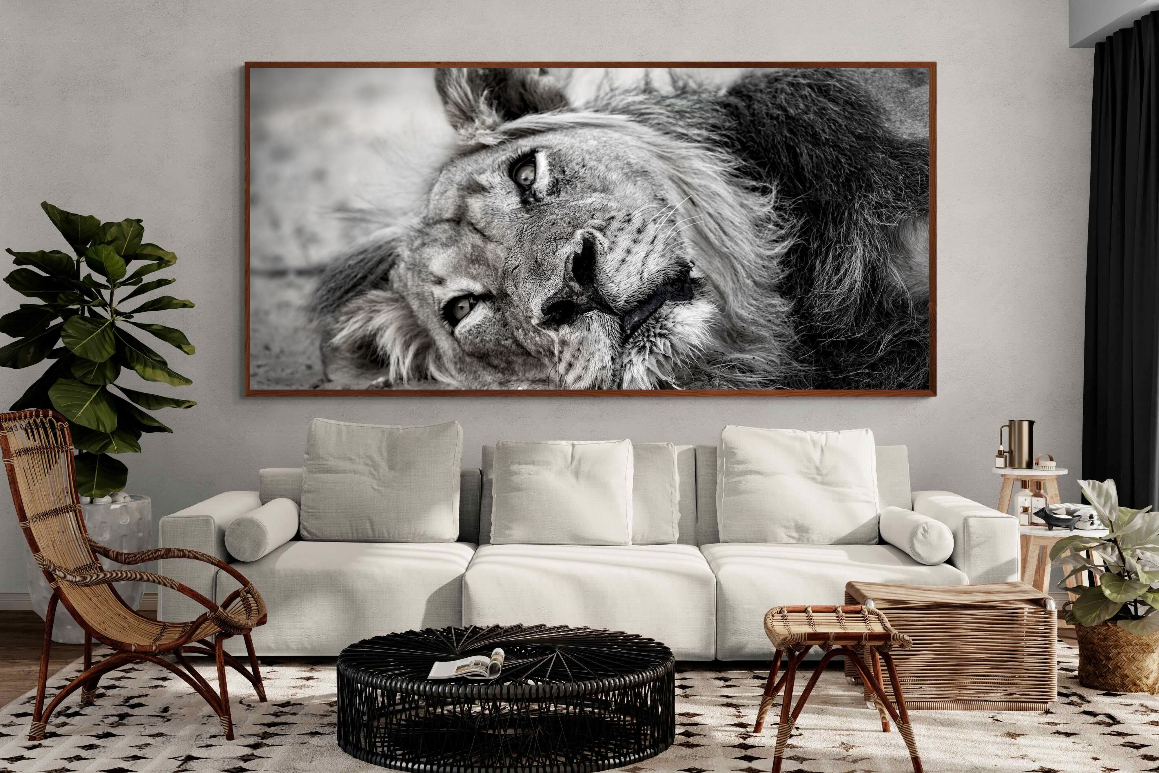 Pixalot ® Resting Lion