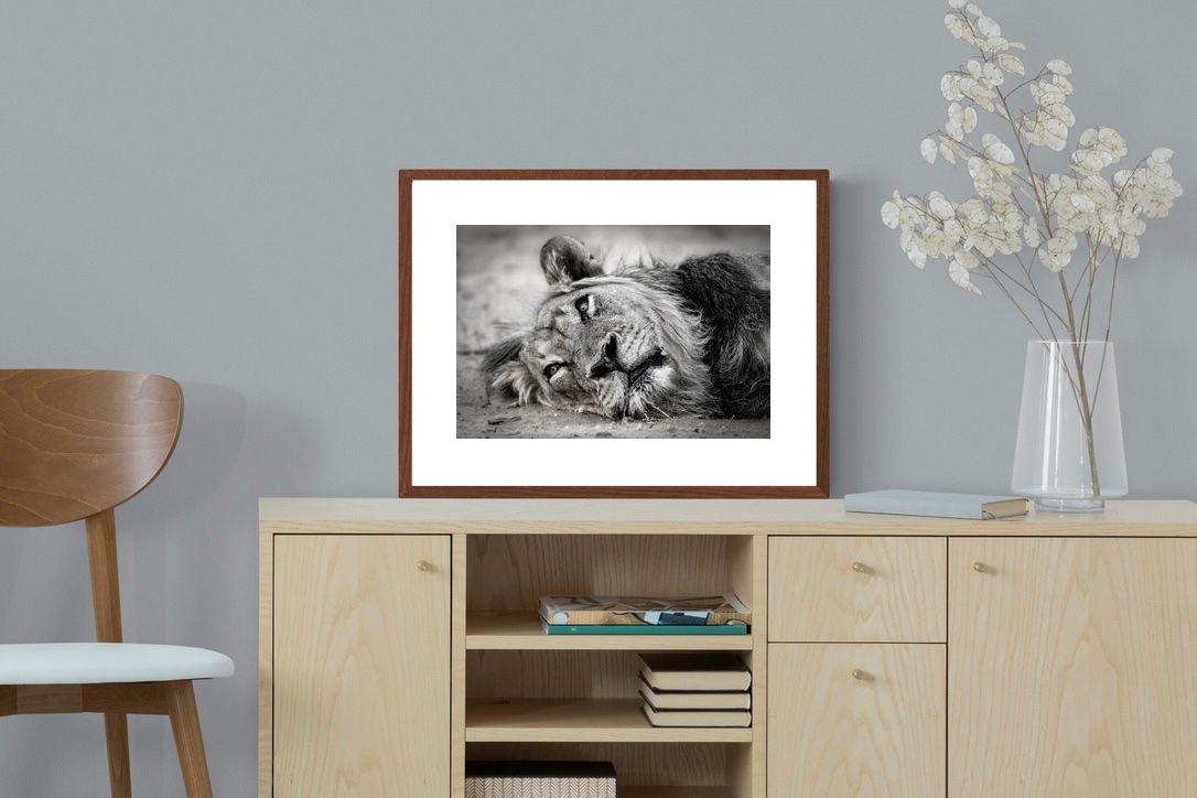 Pixalot ® Resting Lion