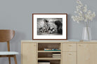 Pixalot ® Resting Lion