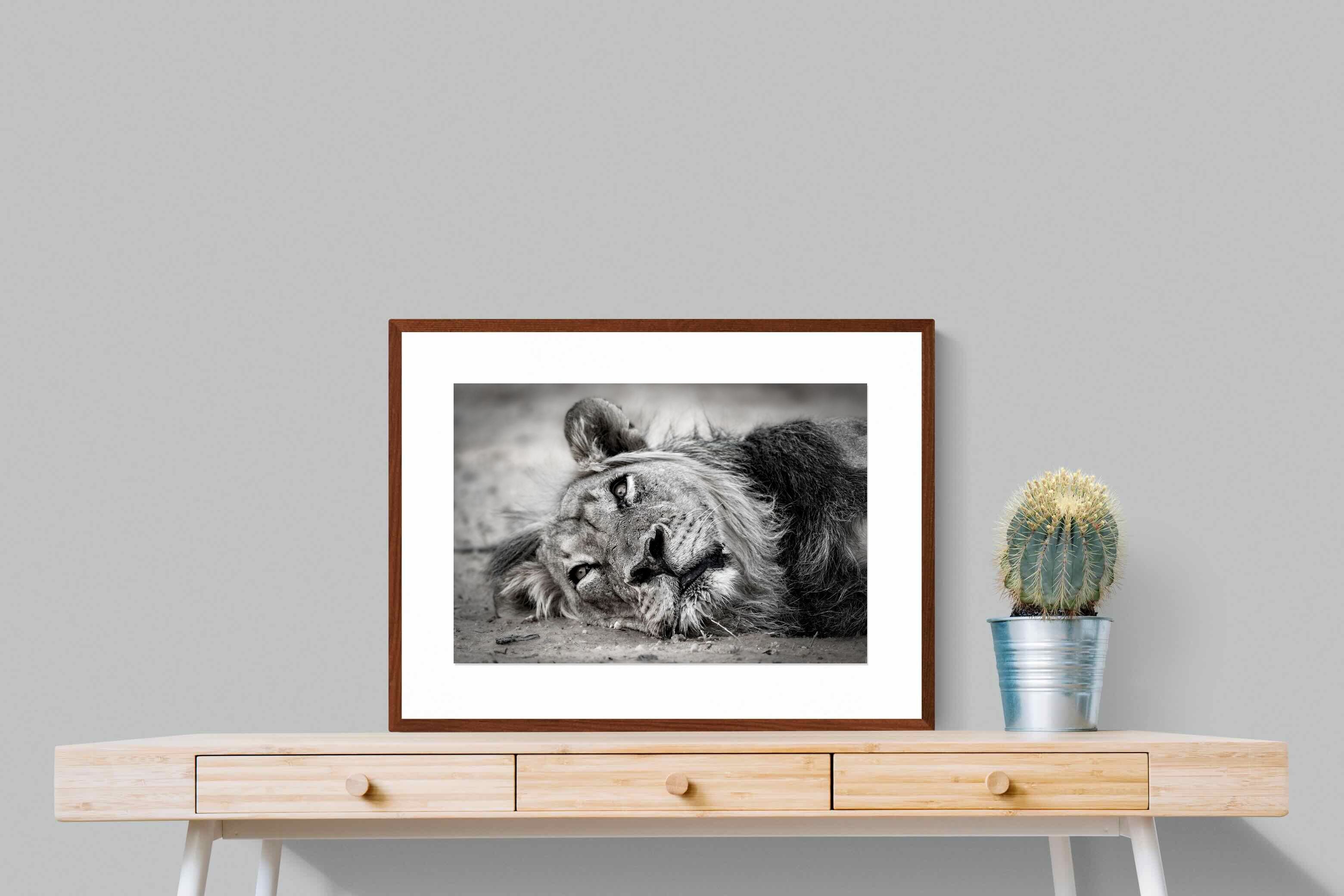 Pixalot ® Resting Lion
