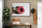 Pixalot ® Resting Protea