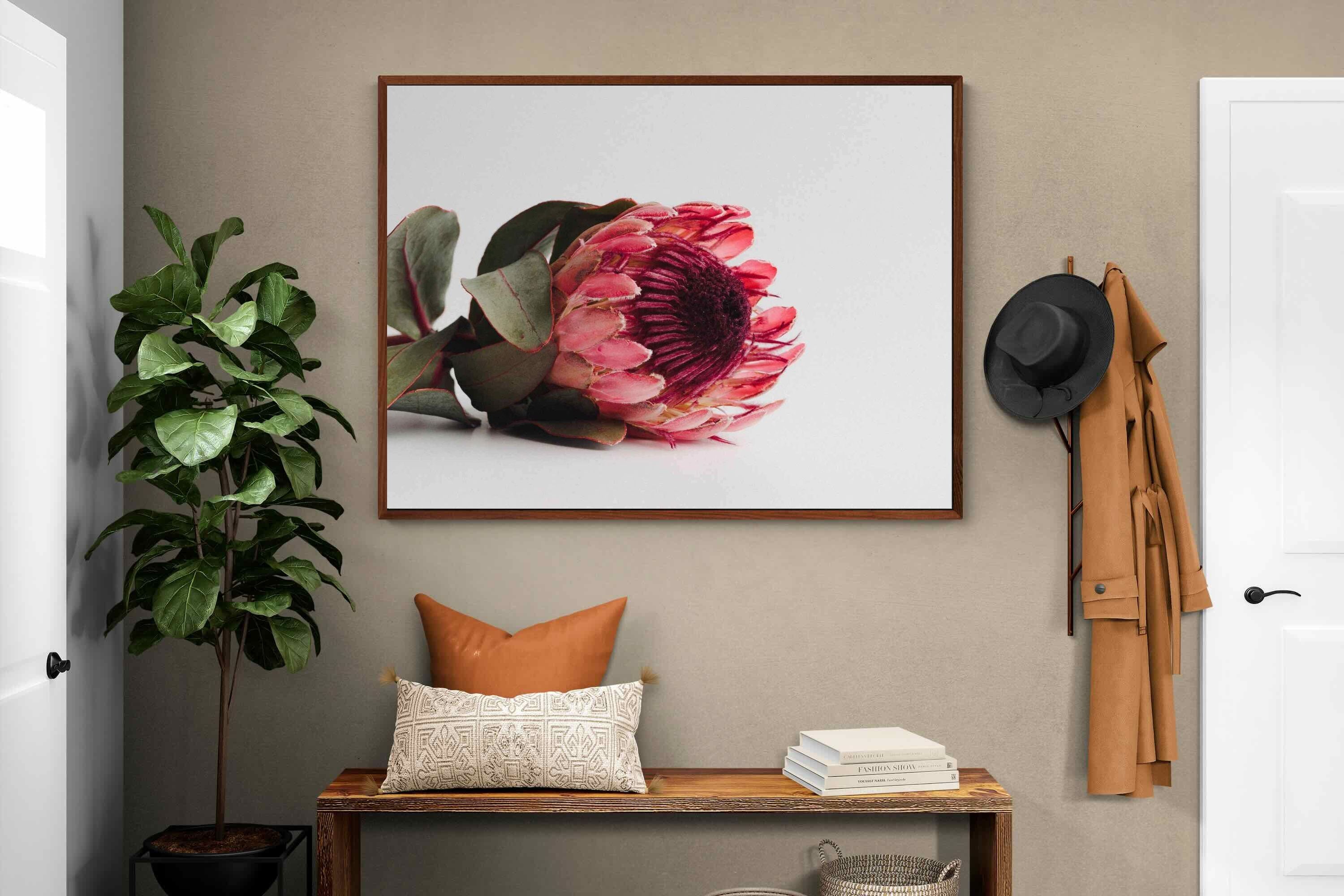 Pixalot ® Resting Protea